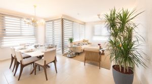 Render o imagen número  5